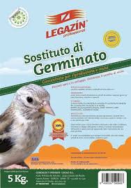 PASTA SOSTITUTO GERMINATO 5 KG