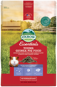 ESSENTIALS YOUNG GUINEA PIG FOOD 