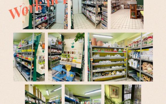 SHOP RESTYLING