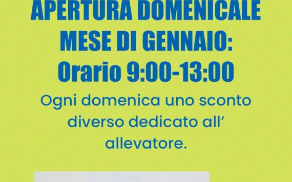 APERTURE DOMENICALI GENNAIO 