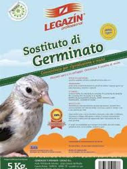 PASTA SOSTITUTO GERMINATO 5 KG