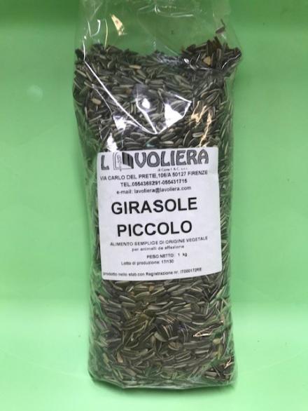 GIRASOLE PICCOLO STRIATO 800 GR