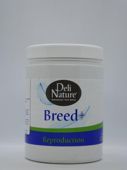 BREED + 500 GR DELI NATURE