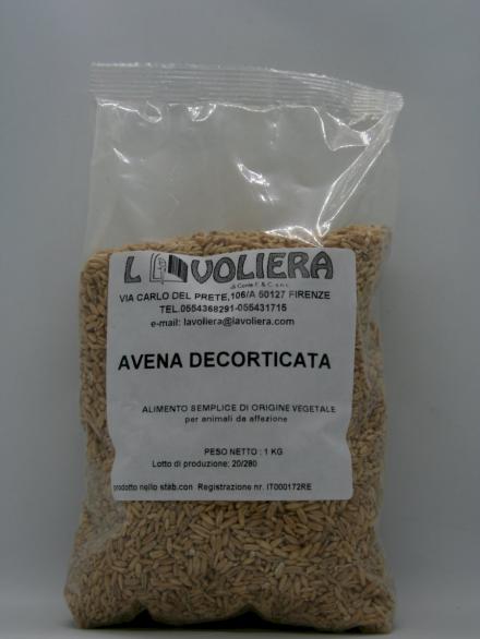 AVENA KG 1