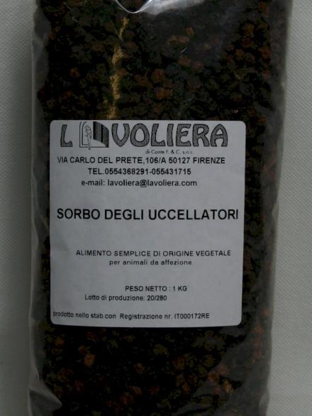 BACCHE DI SORBO 1 KG