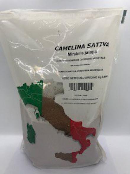 CAMELINA SATIVA KG 0,800