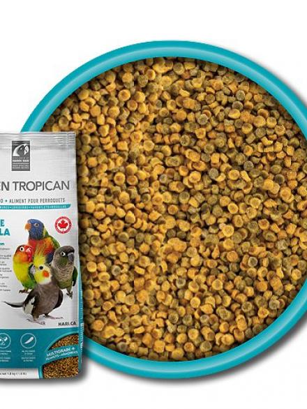 HAGEN TROPIMIX LIFETIME FORMULA 2 MM PICCOLI PARROCCHETTI