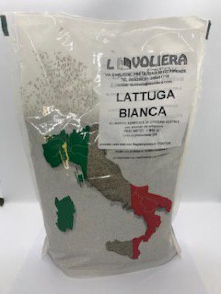 LATTUGA BIANCA KG 0.800