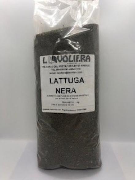 LATTUGA NERA KG 0.800