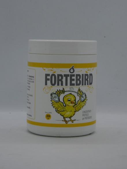 FORTEBIRD 